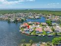 Stunning aerial view of waterfront community with direct Gulf access and luxurious homes at 4803 Longwater Way, Tampa, FL 33615