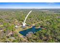 Wide aerial showcasing the property's lakefront location and surrounding woodland at 8403 Southwood Pines St, Lithia, FL 33547