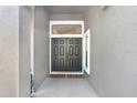 Elegant double front doors are featured with a light gray siding and modern glass fixtures at 15723 Starling Water Dr, Lithia, FL 33547