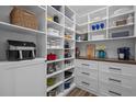 Walk-in pantry featuring custom shelves, drawers, counter, and modern appliances at 4777 Ballantrae Blvd, Land O Lakes, FL 34638