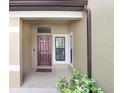 Covered entryway showcasing a paneled front door, transom window, and neutral exterior at 11521 Crowned Sparrow Ln, Tampa, FL 33626