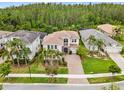 An aerial view showcases a neighborhood, lush landscaping, and a lovely house with a tile roof at 30900 Spruceberry Ct, Wesley Chapel, FL 33543