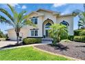 A beautiful home with lush landscaping including a manicured lawn and tropical palm trees at 706 Bunker View Dr, Apollo Beach, FL 33572