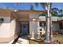 Inviting front entrance featuring a blue front door, stylish light fixture and landscaping at 3189 Roxmere Dr, Palm Harbor, FL 34685
