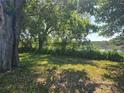 Grassy backyard with mature trees, fence, and view of the lake at 704 Lemonwood Dr, Oldsmar, FL 34677