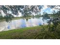 The backyard features a scenic lake view with mature trees at 704 Lemonwood Dr, Oldsmar, FL 34677