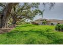 Residential home with a lush green lawn and mature trees offering plenty of shade at 1129 Haley Ln, Dunedin, FL 34698
