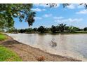 Scenic view of the serene lake, edged by lush trees and under a blue sky with fluffy white clouds at 3821 N Oak Dr # J31, Tampa, FL 33611
