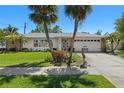 Charming single-story home featuring a well-manicured lawn, a driveway, and beautiful palm trees in the front yard at 1508 Eden Isle Ne Blvd, St Petersburg, FL 33704