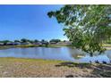 Scenic view of a tranquil pond surrounded by lush greenery, offering a peaceful natural setting at 13121 Early Run Ln, Riverview, FL 33578
