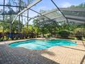 Sparkling screened-in pool with inviting jacuzzi area and brick patio provides a relaxing outdoor retreat at 428 Pine Bluff Dr, Lutz, FL 33549
