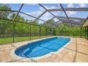 Refreshing in-ground pool with screened enclosure, surrounded by brick pavers and a beautiful green yard at 4555 Debbie Ln, Lutz, FL 33559