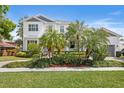 Inviting two-story house with a lush green lawn and beautiful tropical plants in the front yard at 47 Martinique Ave, Tampa, FL 33606