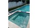 Backyard pool and spa with artificial turf and white fencing at 7912 Causeway S Blvd, St Petersburg, FL 33707