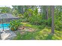 View of a backyard with lush greenery, trees, and a section of the screened-in pool at 5343 Sagamore Ct, New Port Richey, FL 34655