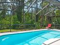 Sparkling screened-in pool with a clear view of the lush greenery and trees in the backyard at 5343 Sagamore Ct, New Port Richey, FL 34655