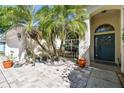 Cozy front porch featuring mature palm trees, paver patio and a bright teal front door at 15018 Greeley Dr, Tampa, FL 33625
