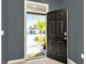 The front door opens to a view of the home's exterior at 2949 Suncoast Plains Dr, Odessa, FL 33556