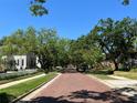 Quaint street lined with mature trees and well-maintained homes, showcasing a peaceful residential neighborhood at 3021 W Lawn Ave, Tampa, FL 33611