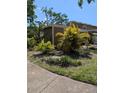 Lush landscaping featuring palm trees and healthy green foliage surrounds the property on a sunny day at 7112 Eldorado Dr, Tampa, FL 33615