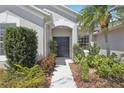 Inviting front entrance with double doors, complemented by lush landscaping and a welcoming pathway at 8847 Bel Meadow Way, Trinity, FL 34655