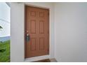 A closeup of the paneled front door with a view of the exterior wall and a small patch of green lawn at 1506 Climbing Dayflower Dr, Ruskin, FL 33570