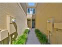 A private walkway leads to the front doors of the townhomes at 2138 Broadway View Ave, Brandon, FL 33510