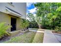 Inviting front entrance with black door, lush tropical landscaping and a sidewalk at 10144 Arbor Run Dr # 122, Tampa, FL 33647