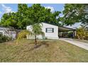 Quaint one-story home with white siding, carport, and a young palm tree in the front yard at 5832 Sussex Dr, Tampa, FL 33615