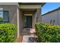 Inviting front entryway with dark-colored door, brick walkway, and lush shrubbery at 11638 Palmetto Pine St, Riverview, FL 33569