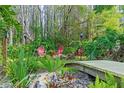 Lush backyard retreat featuring a serene seating area with comfortable red Adirondack chairs surrounded by tropical foliage at 7816 Citrus Blossom Dr, Land O Lakes, FL 34637
