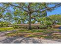 Charming one-story home with a brick driveway and mature landscaping providing ample shade at 4302 W Woodmere Rd, Tampa, FL 33609