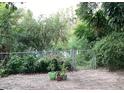 A brick-paved patio is surrounded by lush greenery and a chain-link fence at 4315 Longshore Dr, Land O Lakes, FL 34639