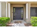 Inviting front door with sidelights and decorative columns at 10144 Arbor Run Dr # 157, Tampa, FL 33647
