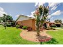 Landscaped front yard with stone mulch, brick borders, and ornamental trees at 10601 42Nd N Ct, Clearwater, FL 33762