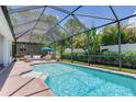 Inviting screened-in pool area with a spacious patio, lush greenery, and clear blue water at 13008 Eagles Entry Dr, Odessa, FL 33556