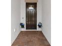 Inviting front entrance featuring a dark wood door, brick floor, and decorative potted plants at 5313 Windy Grove Dr, Wimauma, FL 33598