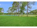 Scenic view of a golf course with lush green grass, mature trees, and tranquil water, creating a serene backdrop at 5403 Avenal Dr, Lutz, FL 33558