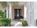 Elegant front door with decorative glass and sidelights, complemented by lush greenery at 11225 Godwit Ct, New Port Richey, FL 34654