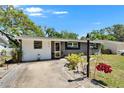 Landscaped front yard featuring decorative plants and a charming light post at 1655 Owen Dr, Clearwater, FL 33759