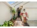 Charming front entrance with a brick pathway and well-maintained landscaping at 1419 Trail Boss Ln, Brandon, FL 33511