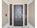 Close-up of a classic black front door with detailed gold hardware and sidelights at 3171 Roxmere Dr, Palm Harbor, FL 34685