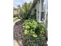 Beautiful landscaping with lush, colorful plants around the house at 19113 Doves Landing Dr, Tampa, FL 33647