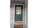 Close-up of the home's front door, featuring a windowed design and 'Wipe Your Paws' doormat at 3321 Laurel View Dr, Brandon, FL 33511