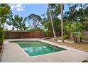 Backyard view of an in-ground pool surrounded by a concrete patio and wooden fence at 7020 Oakview Cir, Tampa, FL 33634