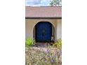 Charming entryway with a bright blue double door and well-maintained landscaping at 23059 Geneva Rd, Land O Lakes, FL 34639