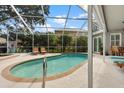 Screened pool with patio and beautiful landscaping, ideal for relaxing and entertaining at 9322 Wellington Park Cir, Tampa, FL 33647