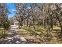 Long driveway leading to a home, partially obscured by mature trees draped with Spanish moss, offering a secluded setting at 6718 Watson Rd, Riverview, FL 33578