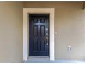 Elegant six-panel black front door with a white frame detail at 1210 Trailwater St, Ruskin, FL 33570