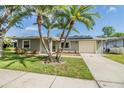 A well-maintained home with a beautiful lawn, palm trees, and a driveway leading to a one-car garage at 2779 Diane Ter, Clearwater, FL 33759